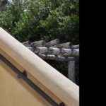 Mediterranean Scroll