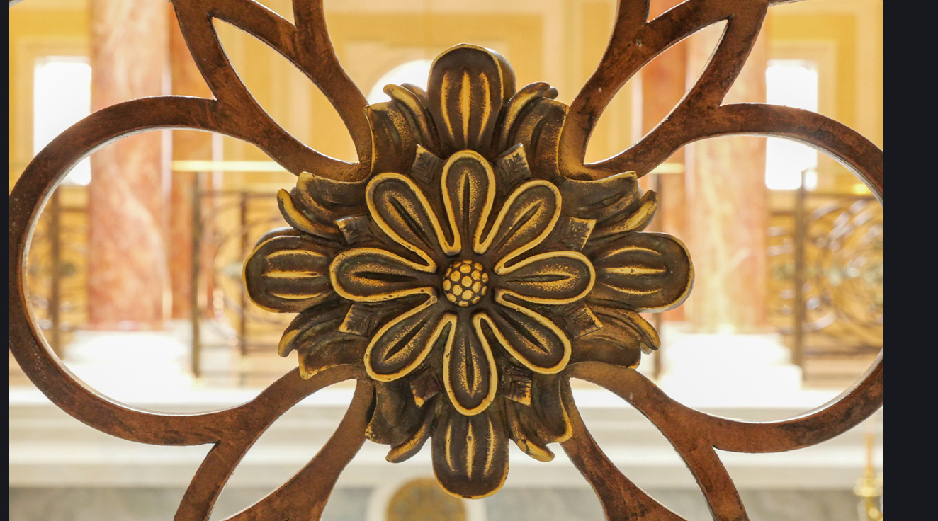 Finales Paddock_0008_Fotos Finales Paddock9