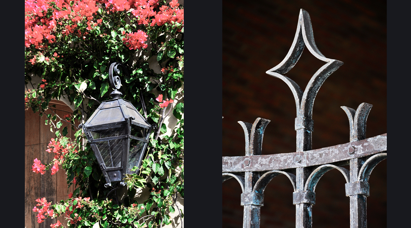 Fotos Finales Berry_0004_Fotos Finales Berry19