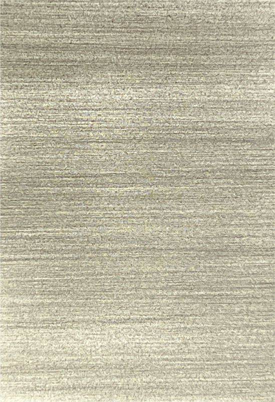 Brushed  • Light + Blackened Steel 01