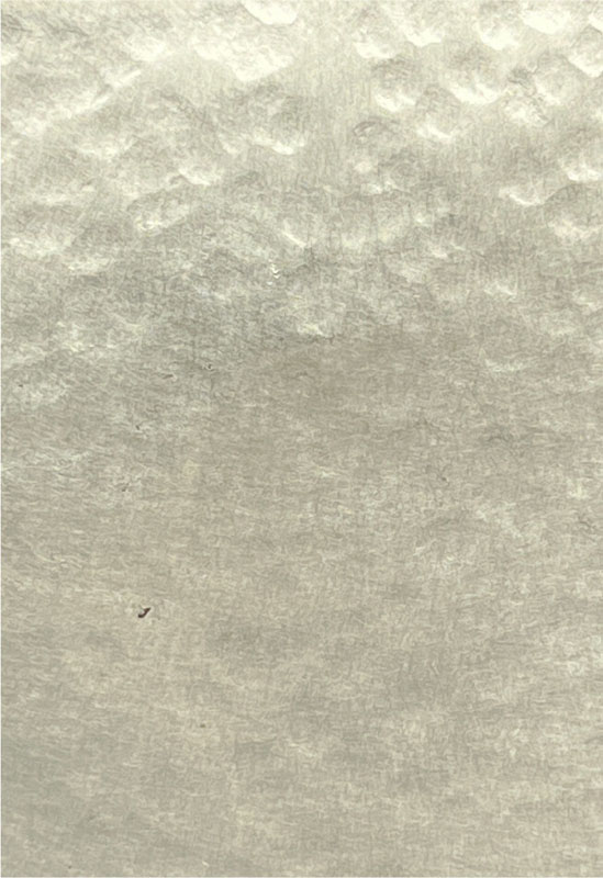 Hammered  •  Medium