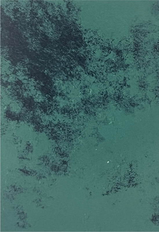 Teal Aqua