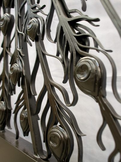 detail of the feathers of the peacock